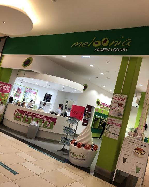 meloonia Frozen Yogurt